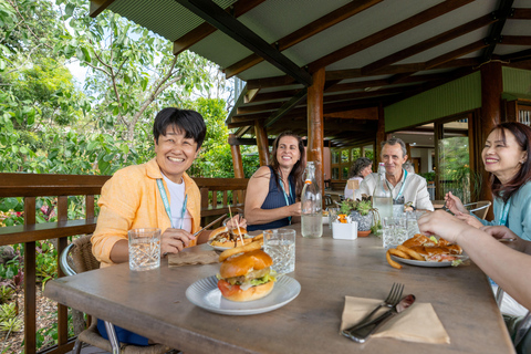 Cairns: Cattana Wetlands, Barron Falls e Kuranda RailwayPort Douglas: cascata, zone umide e Skyrail