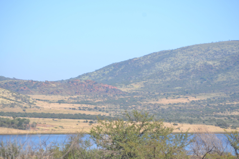 Pilanesberg Tour Big 5 hunt Pilanesberg Tour Big 5 hunt