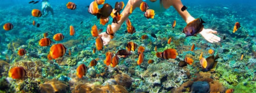 Expérience de plongée avec masque et tuba ou de jet ski à Nusa Dua, Bali