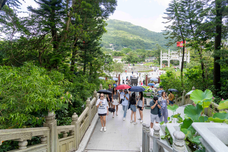 Private VIP Lantau Tour with Top Guide and Hotel Transfer Private VIP Lantau Tour (with VIP Vegetarian lunch)