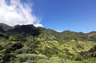 Referta Levada-Wanderung: Entdecke die ruhige Landschaft Madeiras