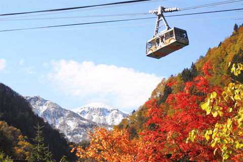 Hokkaido│Kurodake Ropeway, Asahiyama Zoo Autumn Leaves Tour