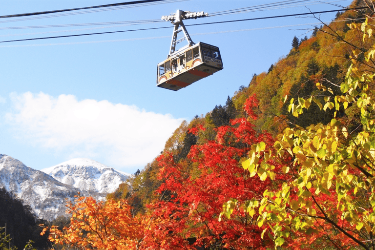 Hokkaido│Kurodake Ropeway, Asahiyama Zoo Autumn Leaves Tour