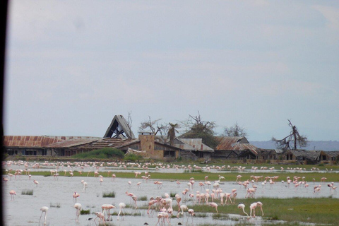 Tour di un giorno del Parco Nazionale di Amboseli e visita al villaggio Maasai