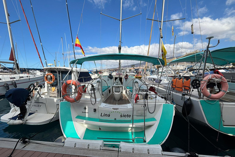 Boat Trip: Dolphin & Whale Watching Sailing Tour 11 Pax Max Boat Trip: Dolphin & Whale Watching Sailing Tour 11 Pax Max