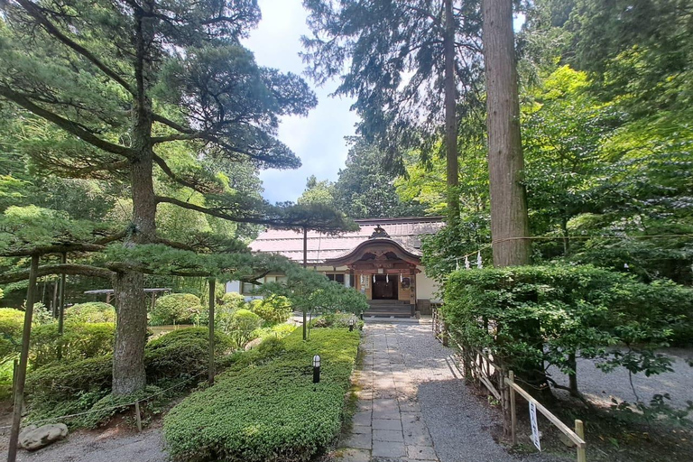 From Tokyo: Nikko UNESCO Sites Private English Guided Tour