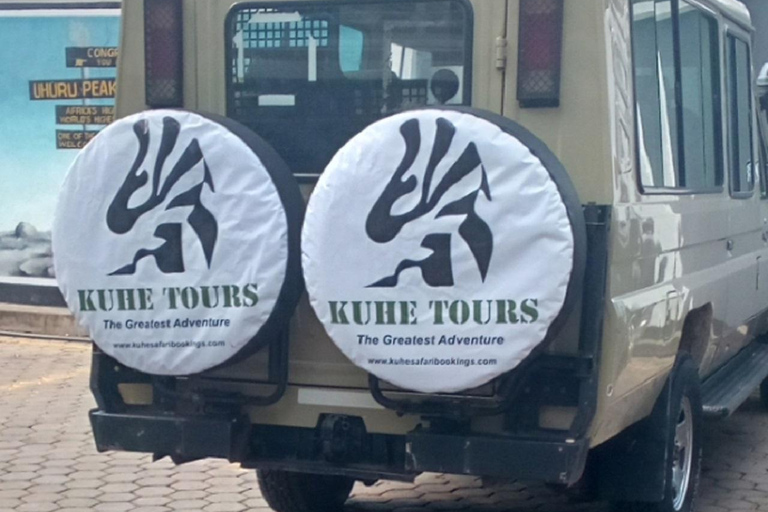 Arusha : safari de 4 jours sur la migration de Ndutu et le cratère du Ngorongoro...Arusha : 5 jours de safari de migration dans le Ndutu et le cratère du Ngorongoro ...