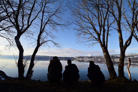 Abisko: Private Fjord Sightseeing and Photography tour