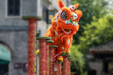 Guangzhou: Foshan Kung Fu Tour with Lion Dance Show