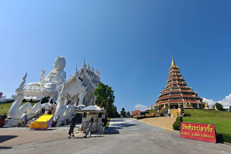 Chiang Rai: Explore 3 Highlight Temples (White, Blue, Red) Meeting Point: Wat Phra Singh (Hotels Outside Pickup Area)