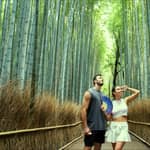 Kyoto: bambù di Arashiyama, matcha, scimmie e tour dei templi