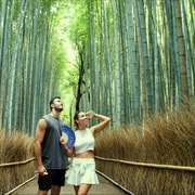Kyoto: Arashiyama Bamboo, Matcha, Monkeys & Temple Tour