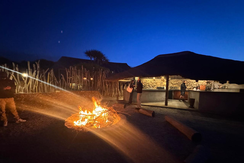 2-Day Safari with Big 5 Game Drives, at amazing 4-Star Lodge Wildlife Lions Safari 2-day Garden Route