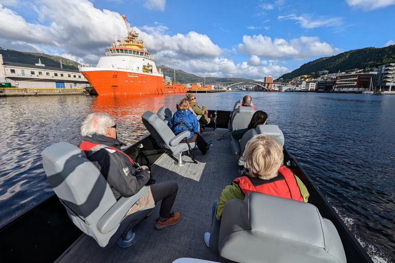 Bergen City Sightseeing Cruise by Lux Pontoon boat