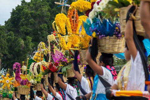 Oaxaca walking tour with a local photographer