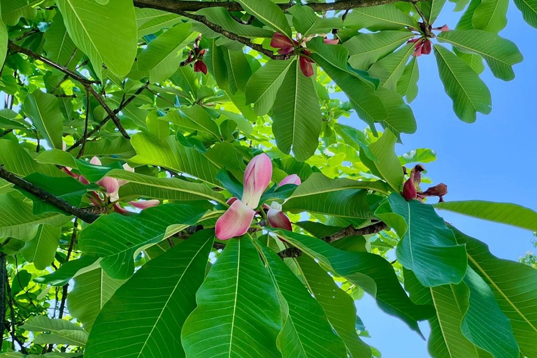 Chengdu Hiking in Yunhua Mountain Landscape & Secret Temple