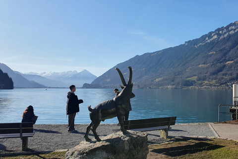 Iseltwald, Aare Gorge and Lake Brienz Experience