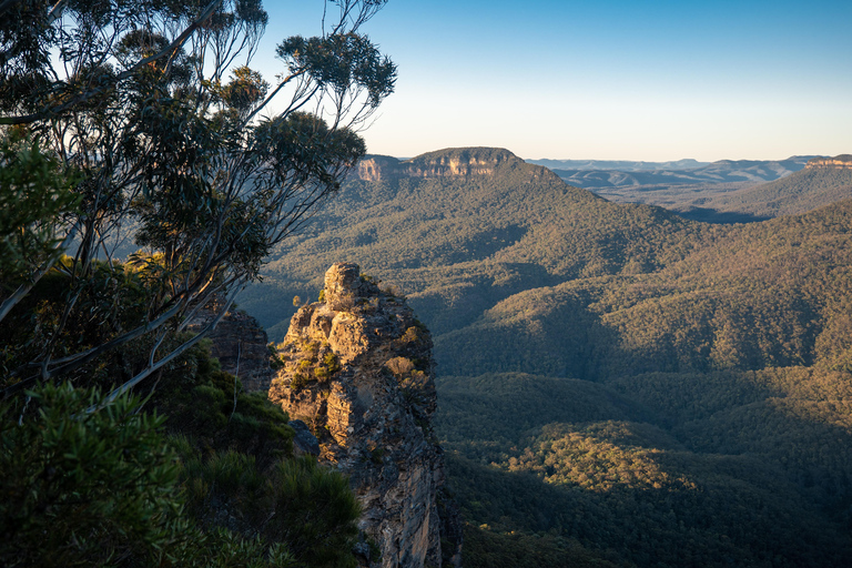 Au départ de Sydney : Circuit de luxe dans les Montagnes Bleues