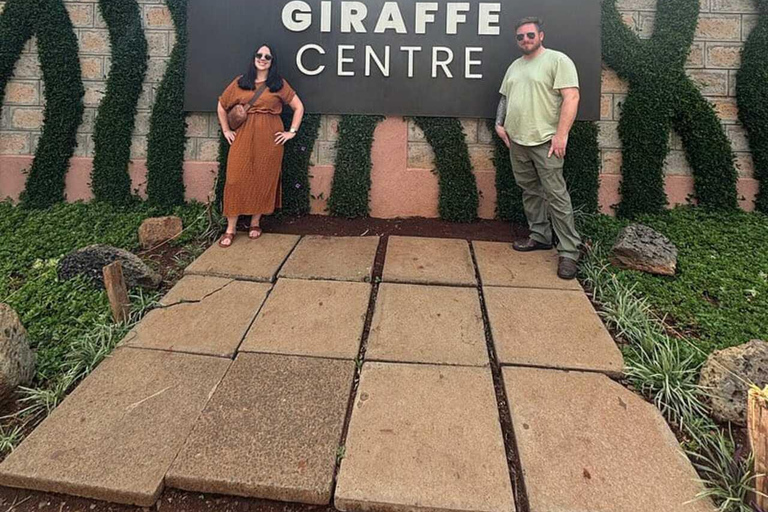 Giraffe Centre Visit Tour In Nairobi Nairobi: Giraffe Centre Visit Guided Tour