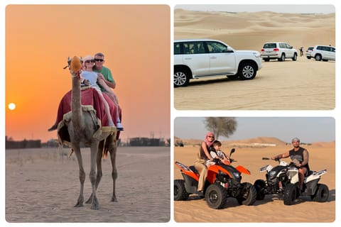 Luxury Desert Safari with Camel Ride, BBQ Dinner & Shows