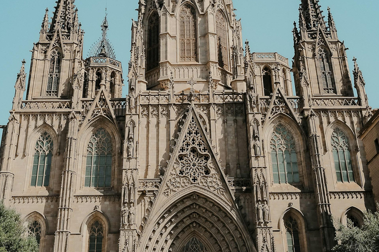 Barcelona: Cathedral of Barcelona Guided Tour