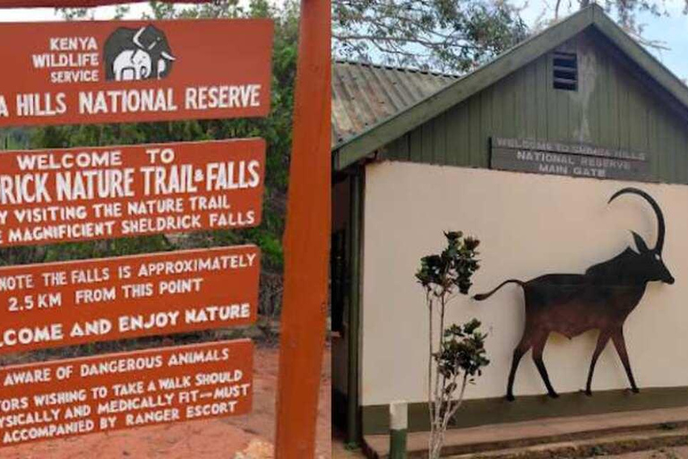 Shimba Hills Reserve Day Trip: From Mombasa and Diani