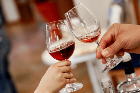 Organic wine discovery tour with tasting at the Mohr-Gutting organic winery (Palatinate)