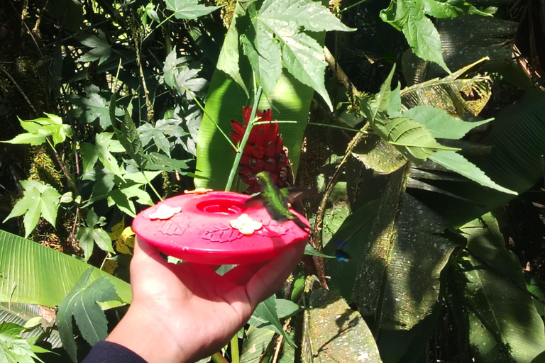 Quito: Waterfall, Hummingbirds, Butterfly Tour, Equator line