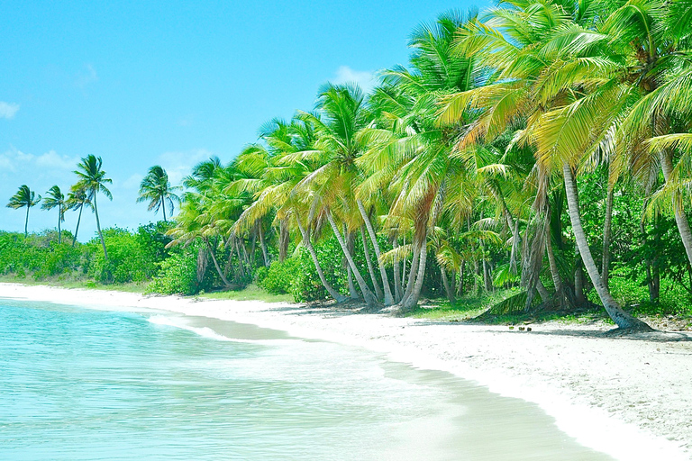 Punta Cana: Saona Island Tour with Lunch and Drinks