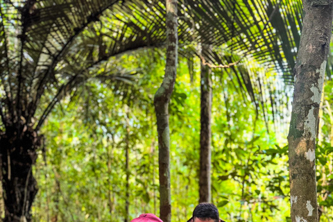 Presidente Figueiredo: Jungle Lodge Immersion in the Amazon (2–4 days) Full Jungle Lodge Experience in the Amazon (2 days and 1 night)