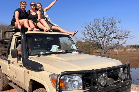 Game drive & witte neushoorn ervaring