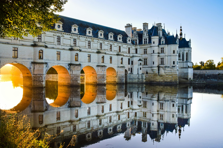 Chenonceaux: Château and Gardens Walking Tour with Entry