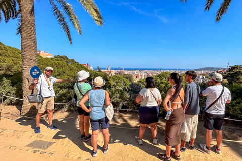 Barcelona: Park Güell Guided Tour with Skip the Line Ticket Spanish Tour