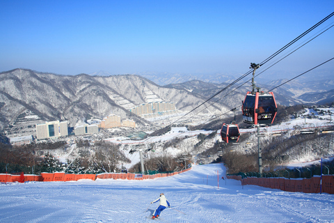 From Seoul: Vivaldi Park Ski World with Eobi Ice Valley Transport Only - Meeting at Hongik Univ. Station