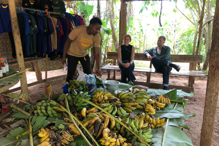 Fort Portal: Kibale Forest Chimpanzee Trek & Bigodi Walk