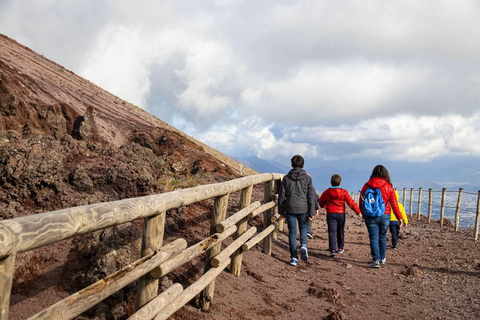 Vesuvio: Escursione &quot;Skip-the-line&quot; con guida esperta