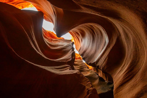 Orderville: East Zion Slot Canyons Award-Winning UTV Tour