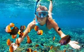  - Canarie.it