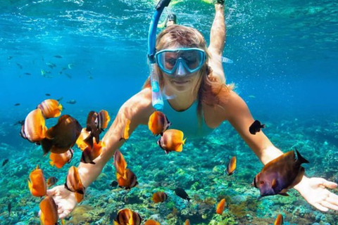 From Punta Cana: Catalina Island Snorkeling & Beach
