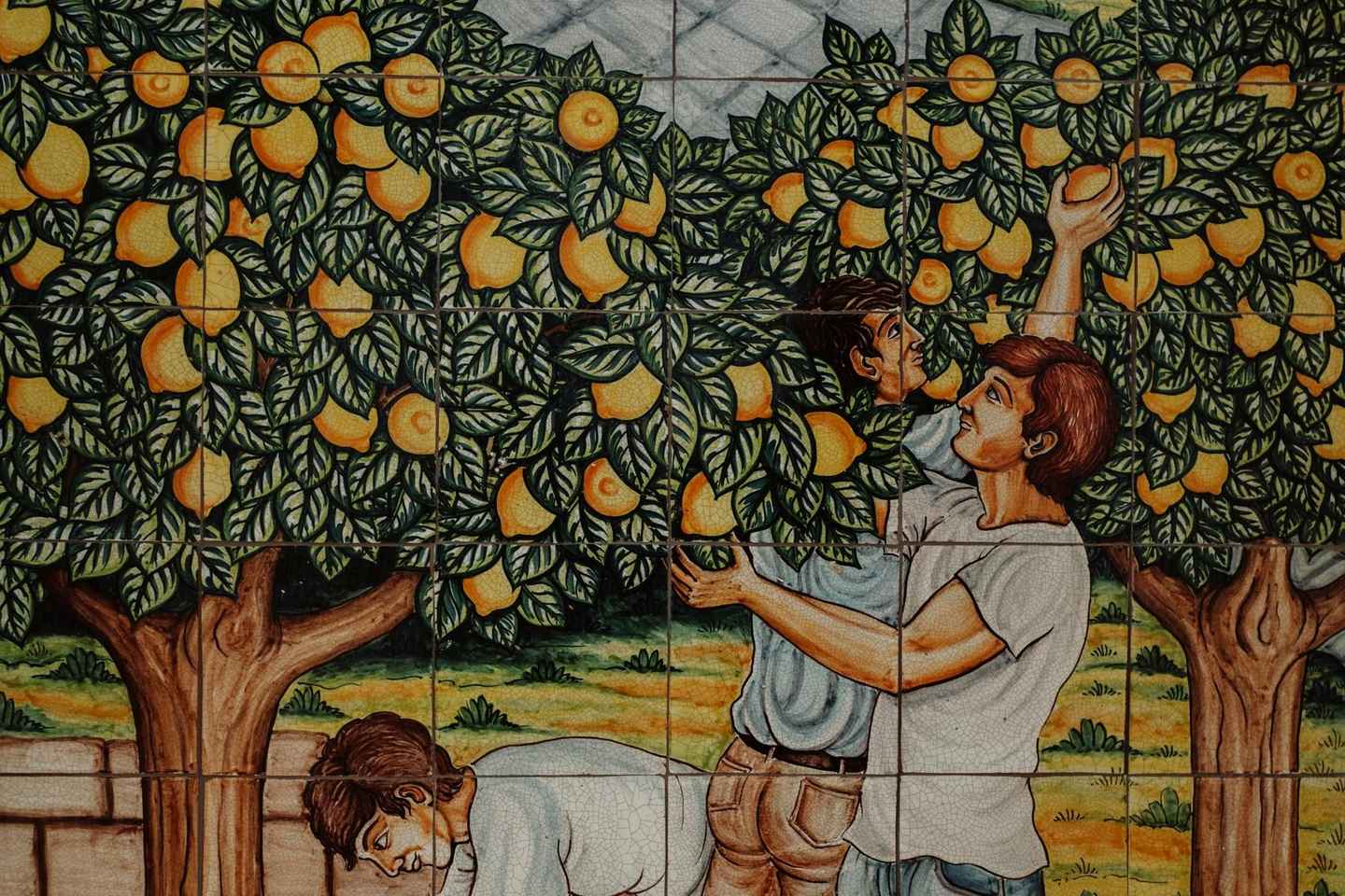 Balade dans les Vignes : Histoire et Dégustation à Alcamo