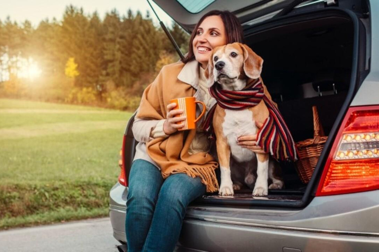 Paws in the City: Pet-Friendly Baku Experience