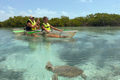 Providenciales Mangrove Kayak Tour With Turtle Sightings