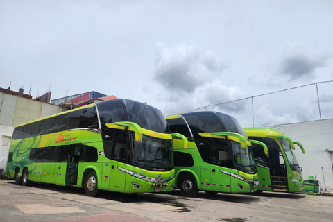 Autobus Cama Directo Arequipa Puno