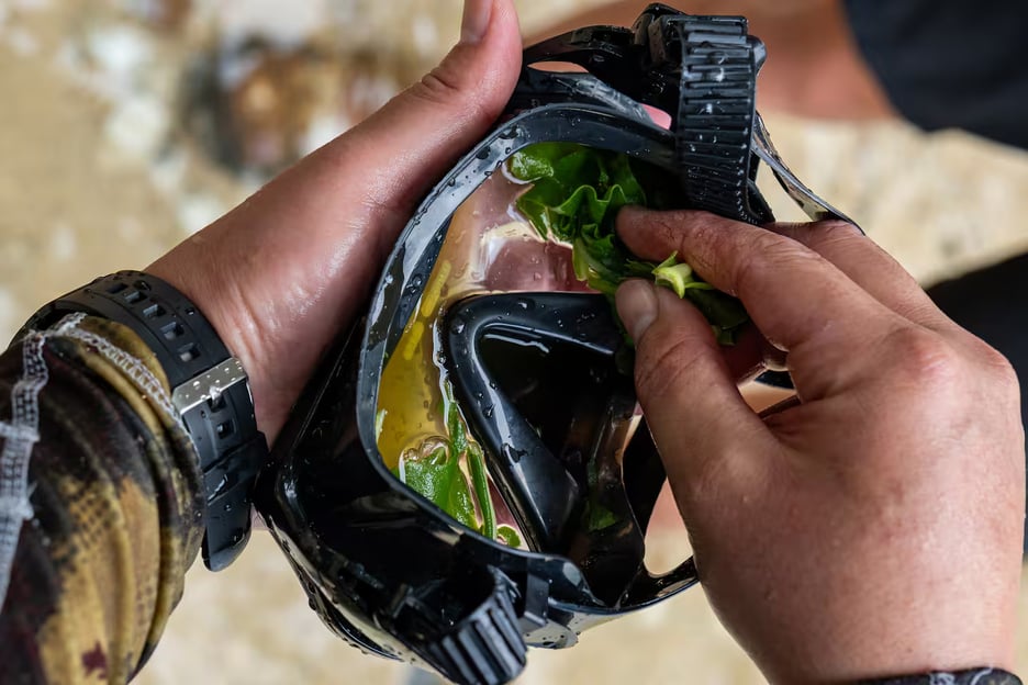 Kauai: Mālama Kai Snorkeling Adventure &amp; Reef Cleanup