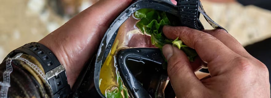 Kauai : aventure de plongée avec tuba Mālama Kai