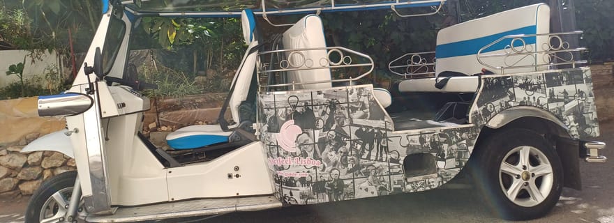 Lisbonne : visite touristique guidée d'une demi-journée en tuk tuk