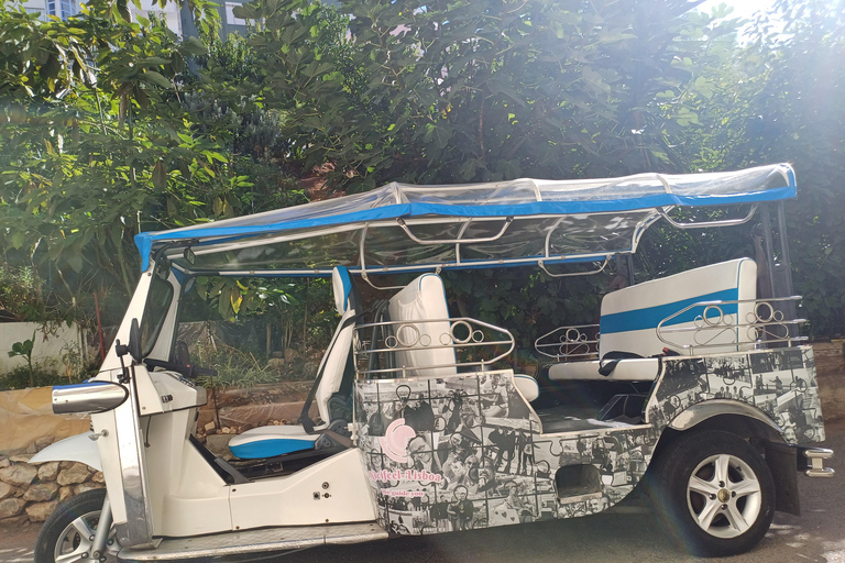 Lisbon: half day guided sightseeing tour by tuk tuk