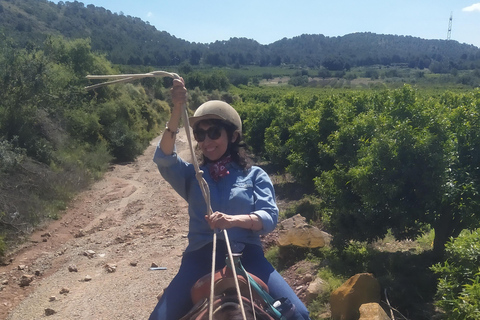 Odkryj wnętrze Walencji na koniu