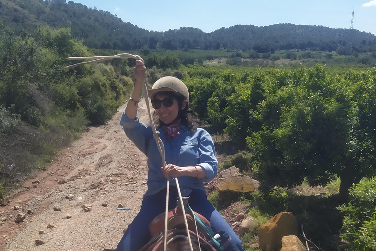 Odkryj wnętrze Walencji na koniu