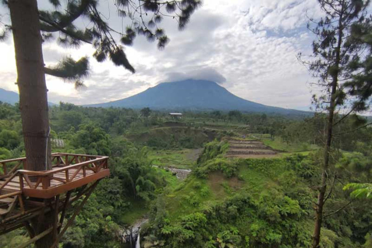 Yogyakarta : Nepal Van java &amp; Cascata di Kedung Kayangopzione alba